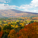Illustration for article titled 76 Stunning Photos Of Fall Leaves